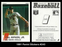 1991 Panini Stickers #243