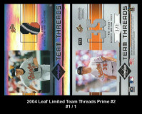 2004-Leaf-Limited-Team-Threads-Prime-2