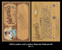 2005-Leather-and-Lumber-Naturals-Platinum-4
