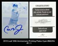 2015-Leaf-25th-Anniversary-Printing-Plates-Cyan-BACRJ