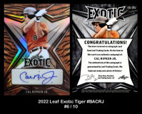 2022-Leaf-Exotic-Tiger-EACRJ