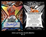 2022-Leaf-Exotic-Giraffe-EACRJ