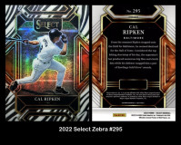 2022-Select-Zebra-295