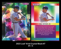 2023-Leaf-Vivid-Crystal-Black-7
