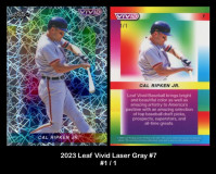 2023-Leaf-Vivid-Laser-Gray-7