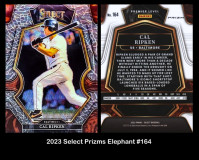 2023-Select-Prizms-Elephant-164