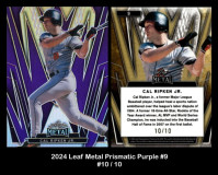 2024-Leaf-Metal-Prismatic-Purple-9