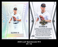 2025-Leaf-Spectacular-14