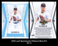 2025-Leaf-Spectacular-Platinum-Blue-14