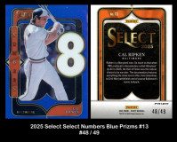 2025-Select-Select-Numbers-Blue-Prizms-13