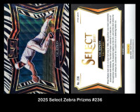 2025-Select-Zebra-Prizms-236